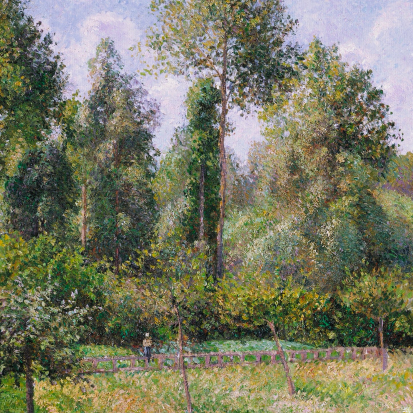 Poplars, Éragny