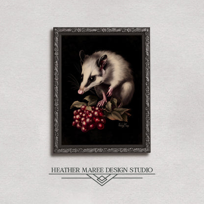 Opossum with Red Berries