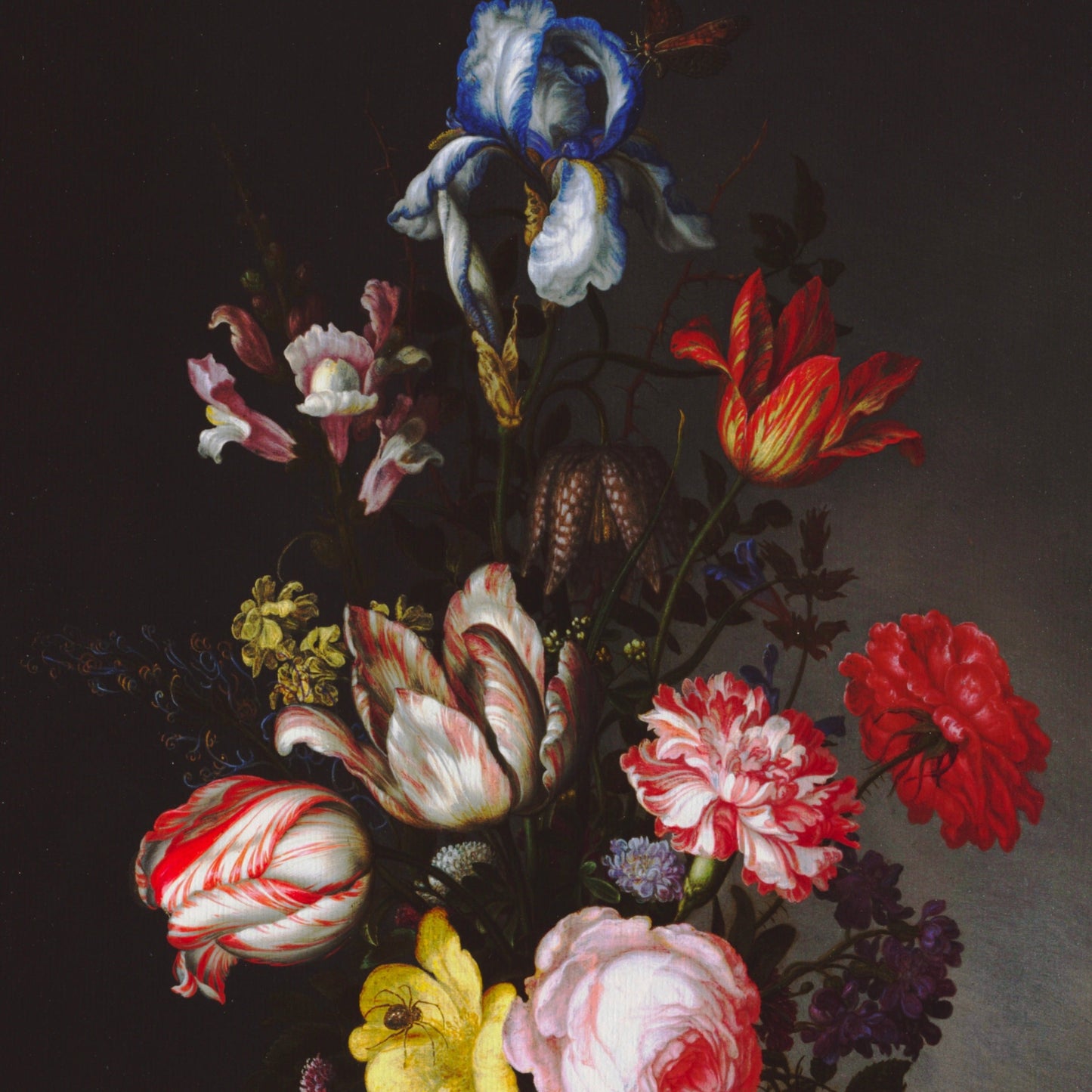 Flowers in a Vase with Shells and Insects