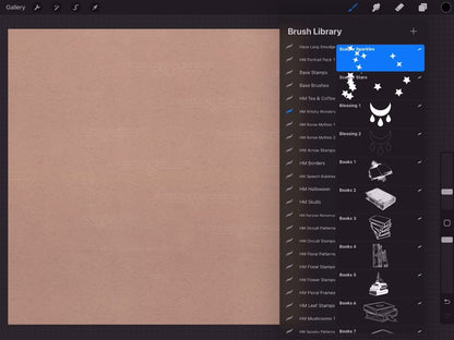 Witchy and Wiccan | Procreate Stamp Brushes