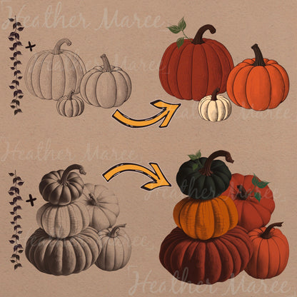 Autumn Pumpkins | Procreate Stamp Brushes