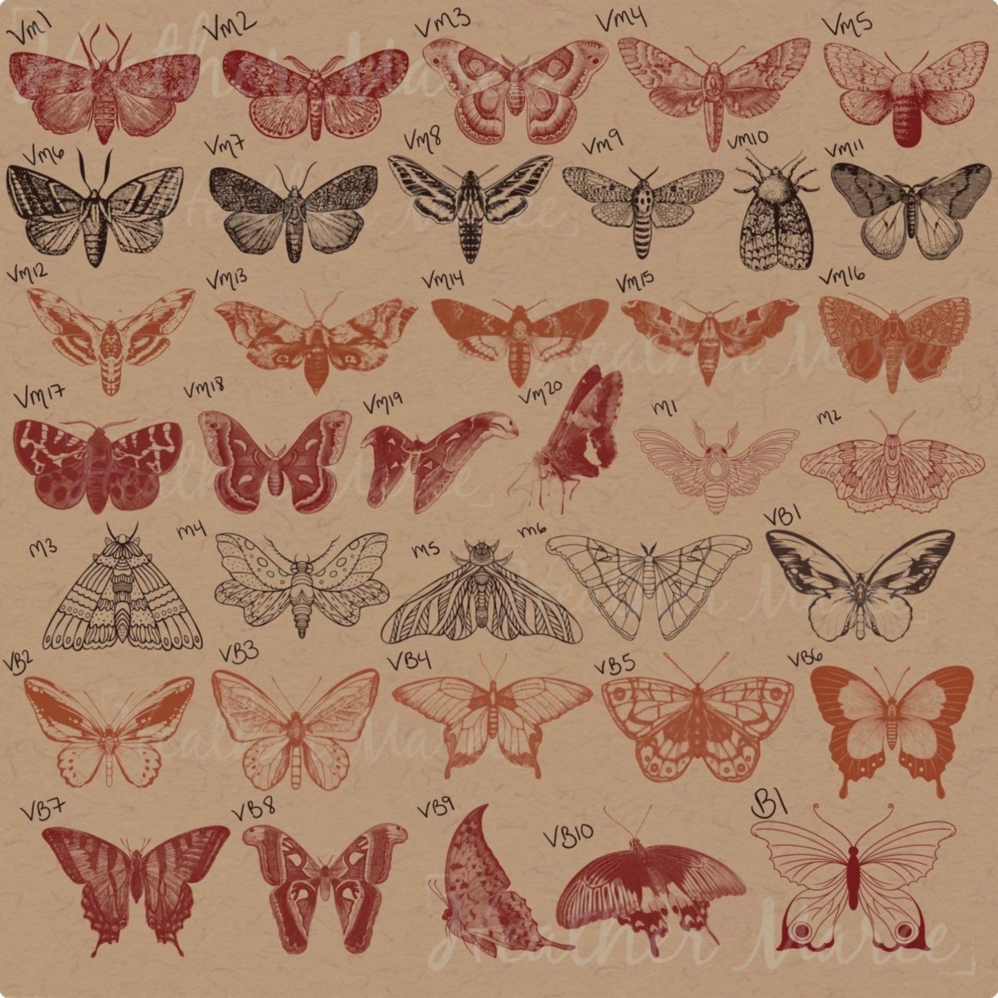 Butterflies and Moths | Procreate Stamp Brushes