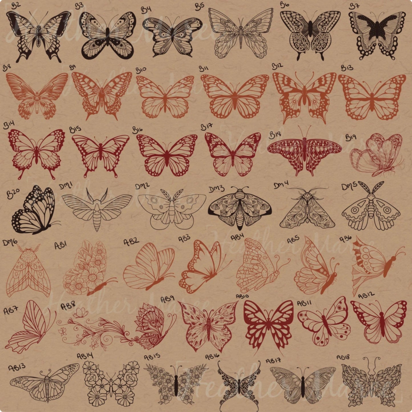 Butterflies and Moths | Procreate Stamp Brushes