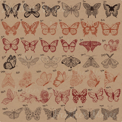 Butterflies and Moths | Procreate Stamp Brushes